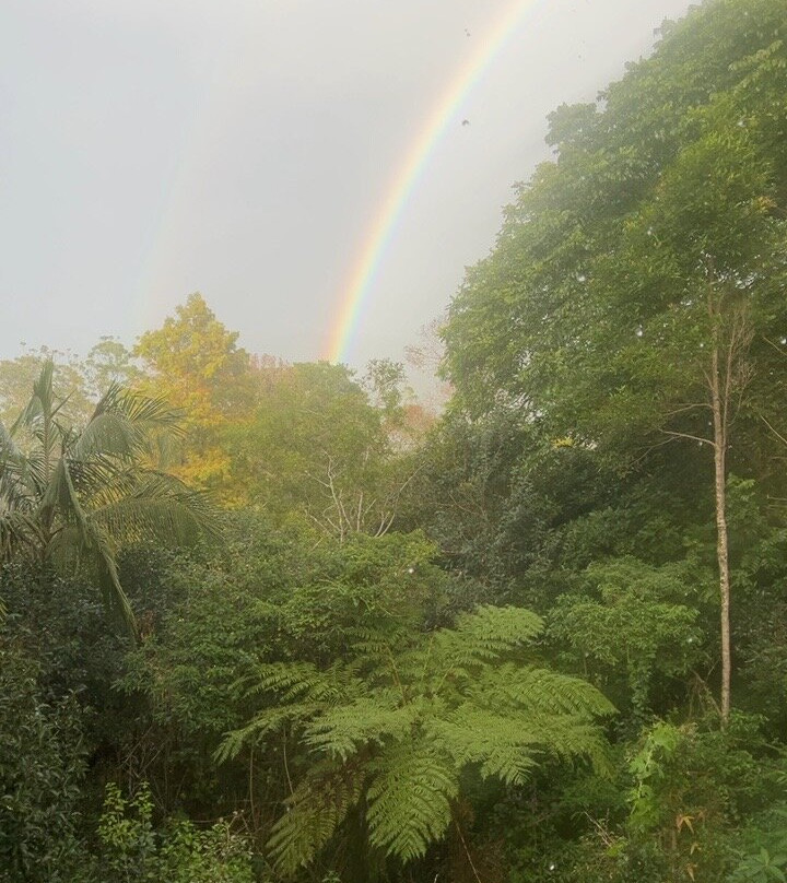 蒙维尔雾景别墅主图