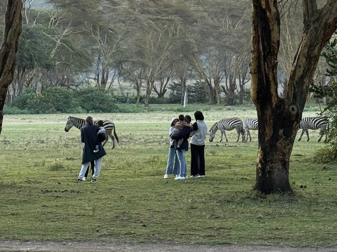 Sirocco Wildlife Sanctuary主图