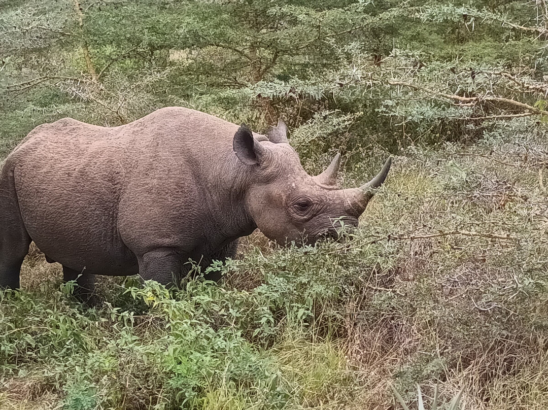 Mkomazi National Park-Gonja必去景点