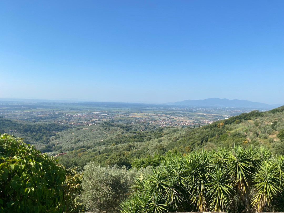 Agriturismo Poggio Tondo主图