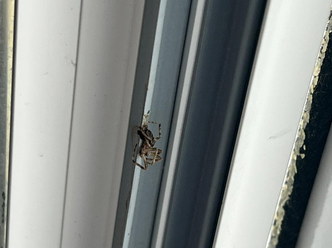 Hotel ChiemseePanorama主图