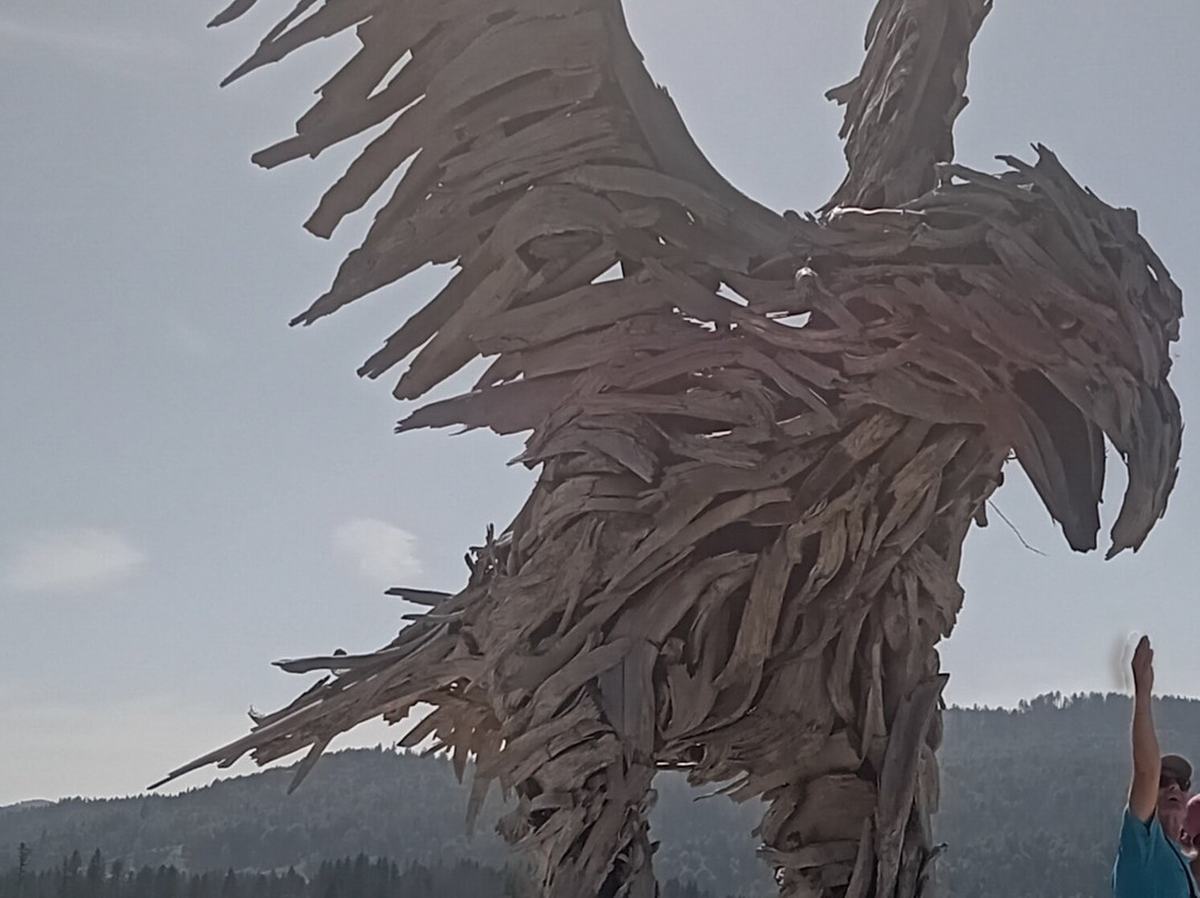 Aquila Vaia di Marcesina