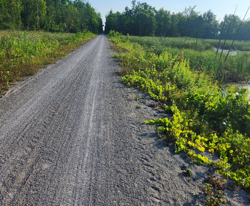 Oro-Medonte Rail Trail-Oro-Medonte必去景点