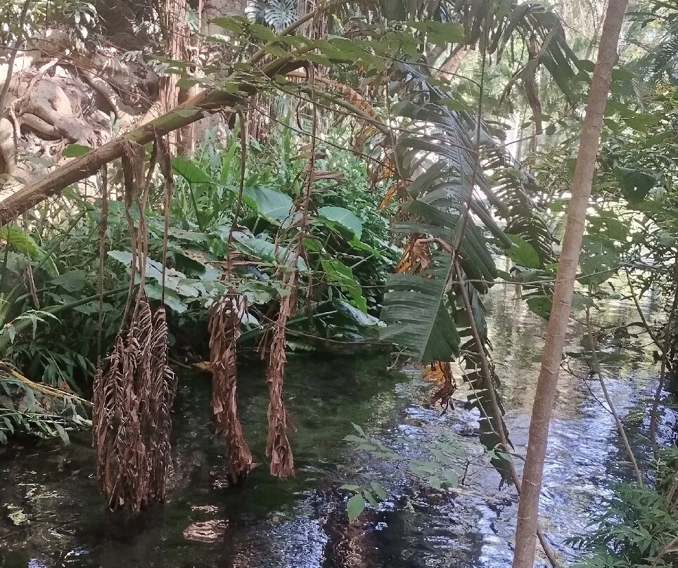 Parque Barranca Chapultepec-奎尔纳瓦卡必去景点