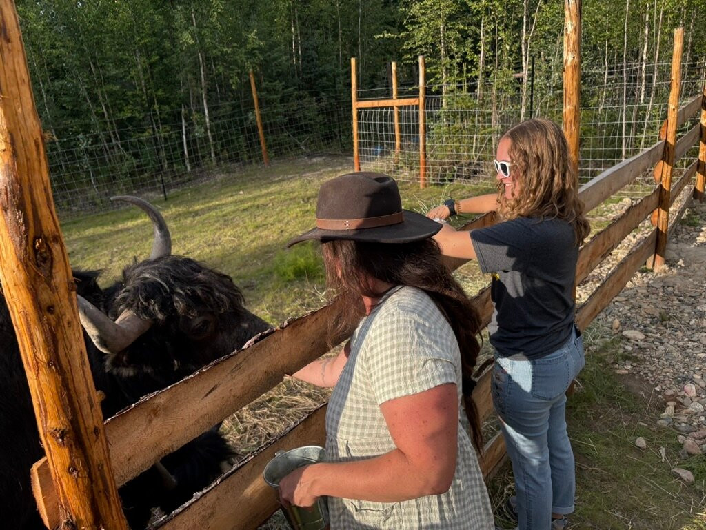 Mammut Mountain Yak Farm