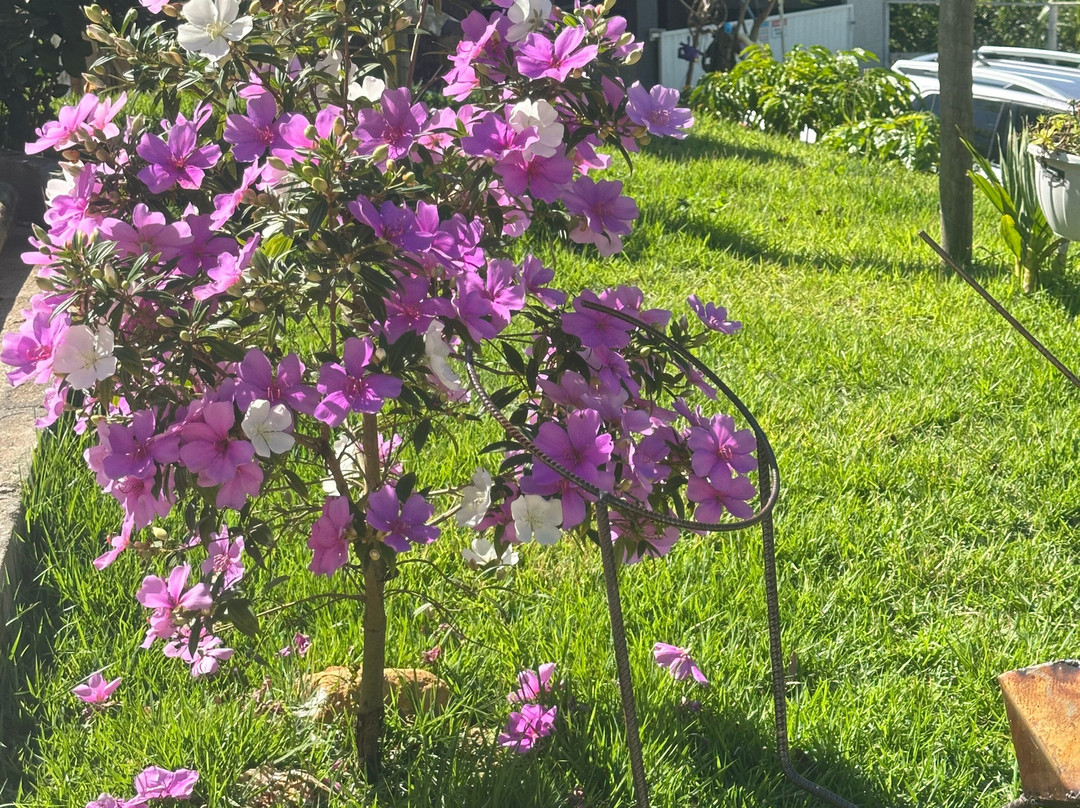 Guesthouse Hostels Foryou