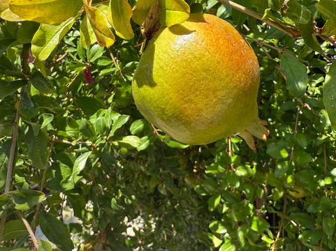 Soula's Corfu travel-科孚必去景点