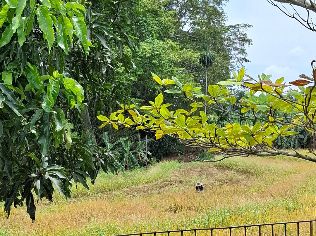 Hornbill River Camp主图