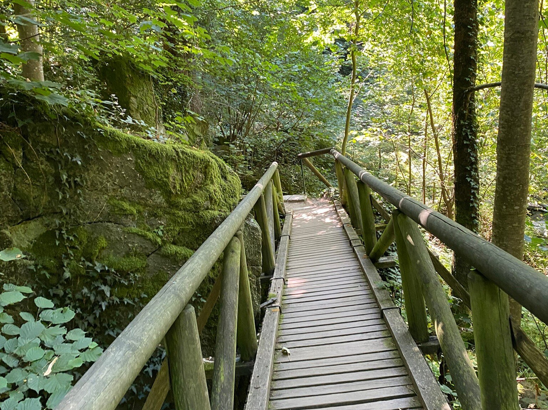 Gaishöll-Wasserfälle-Sasbachwalden必去景点