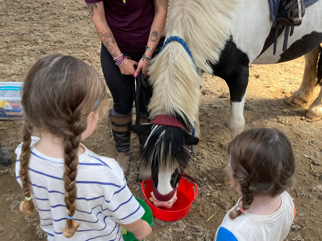 Crindle Stables-Limavady必去景点