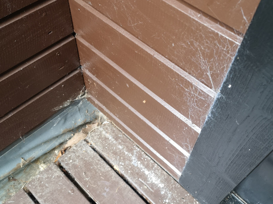 Forbes of Kingennie Country Resort Lodges主图