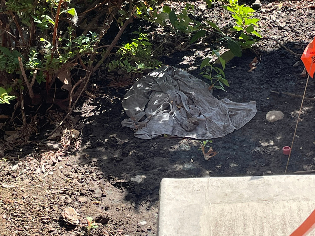 Holiday Inn Richland On The River By IHG主图