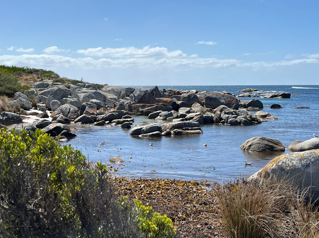 The Gardens-Binalong Bay必去景点