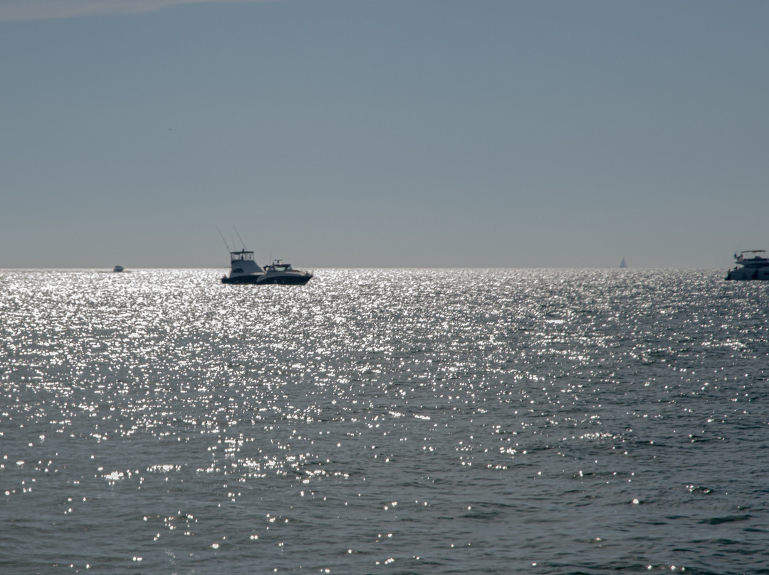 Terminal De Cruceros De Progreso-Progreso必去景点