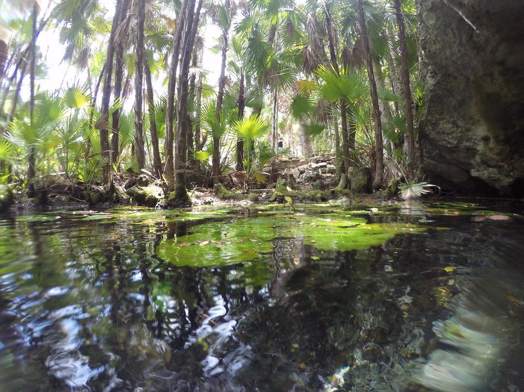Happy Manta Cenote Diving-普拉亚德尔卡曼必去景点