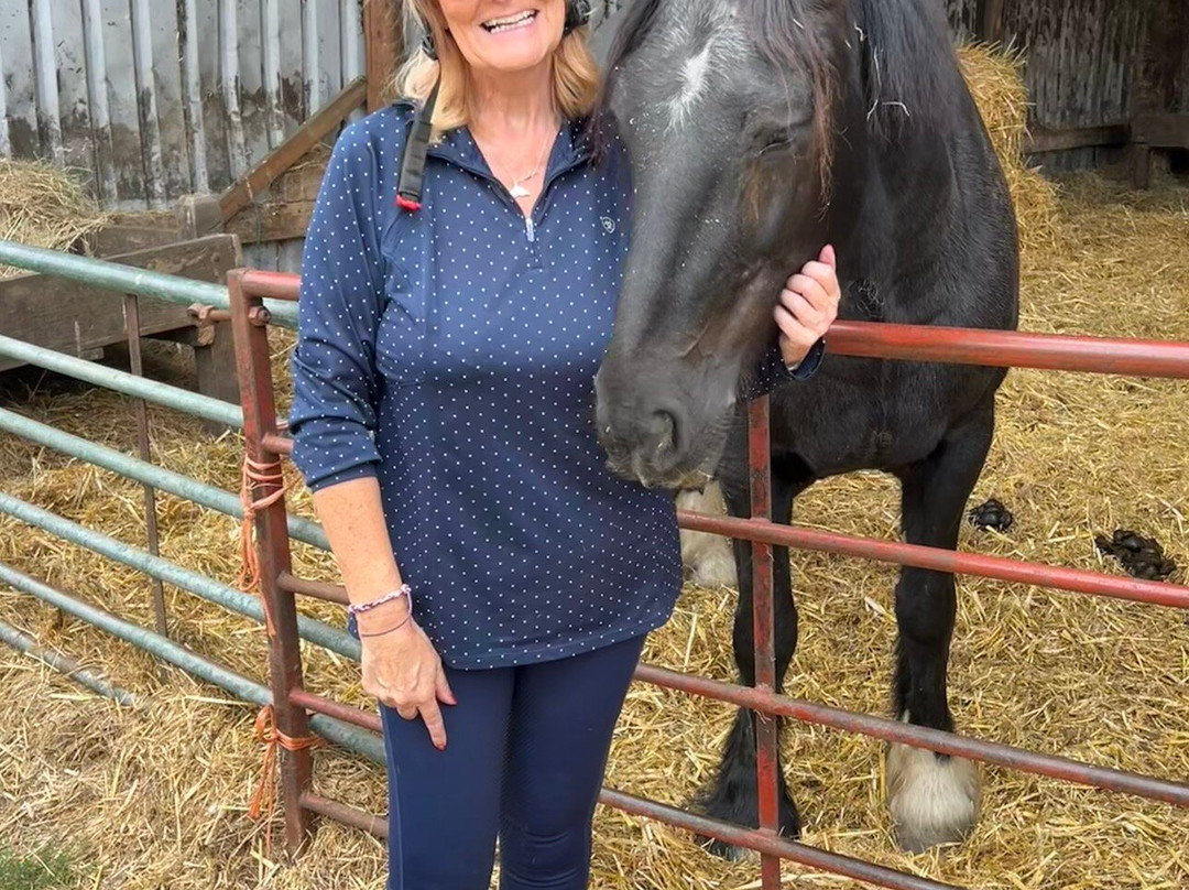 Boltby Pony Trekking-瑟斯克必去景点