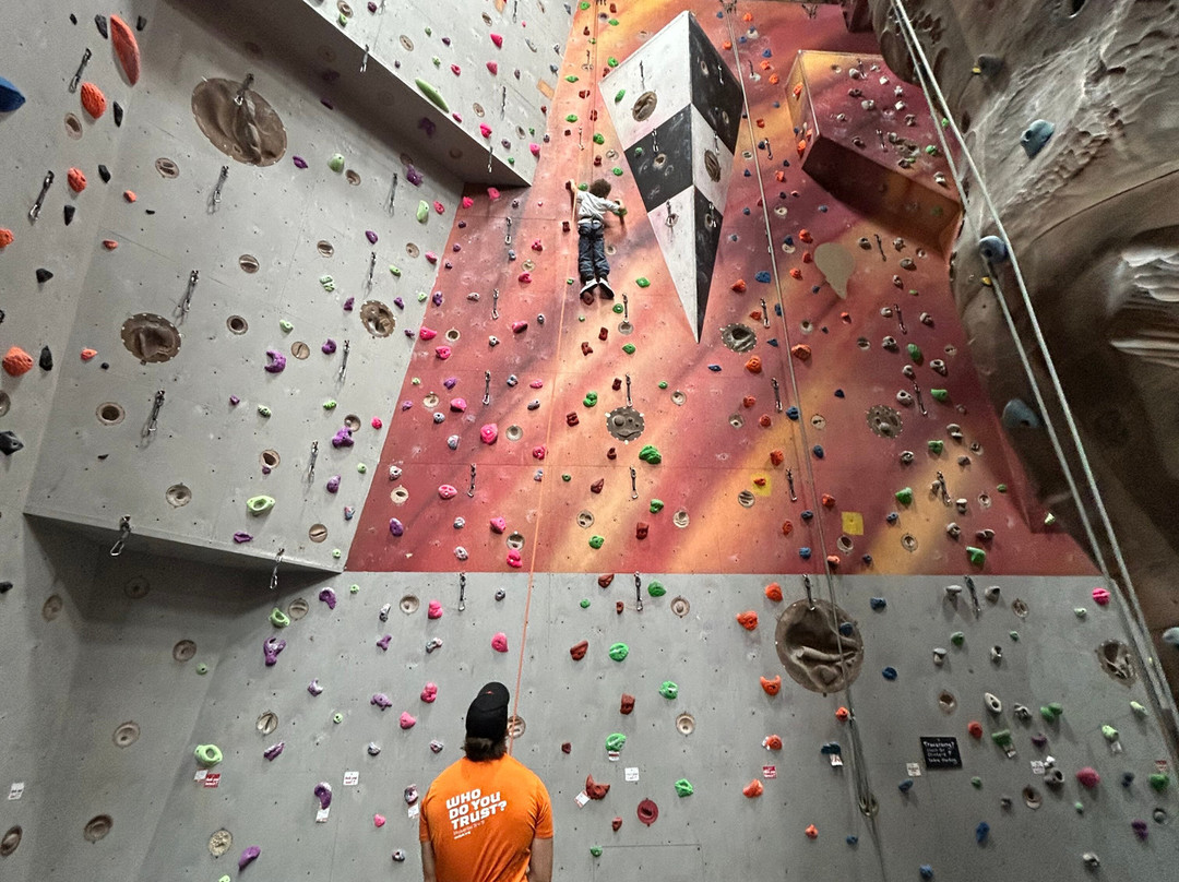 Summit Centre Climbing Wall-Trelewis必去景点