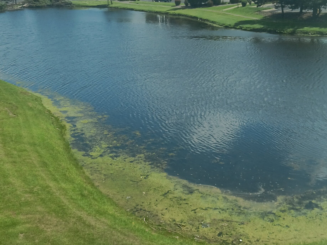 芝加哥西南布尔里奇万豪酒店主图