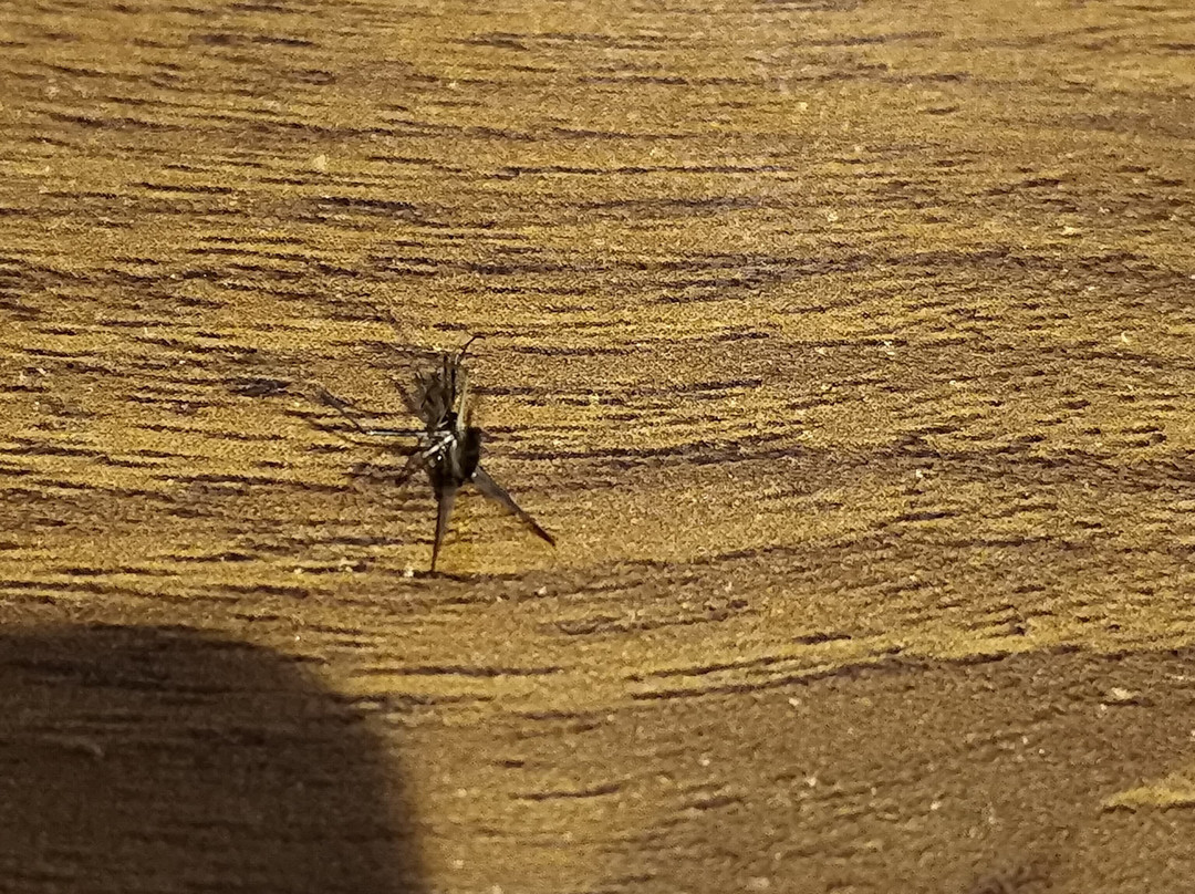 Zone By The Park Pathankot主图