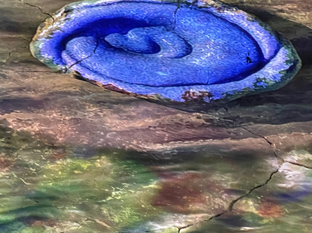 Nilpena Ediacara National Park-null必去景点