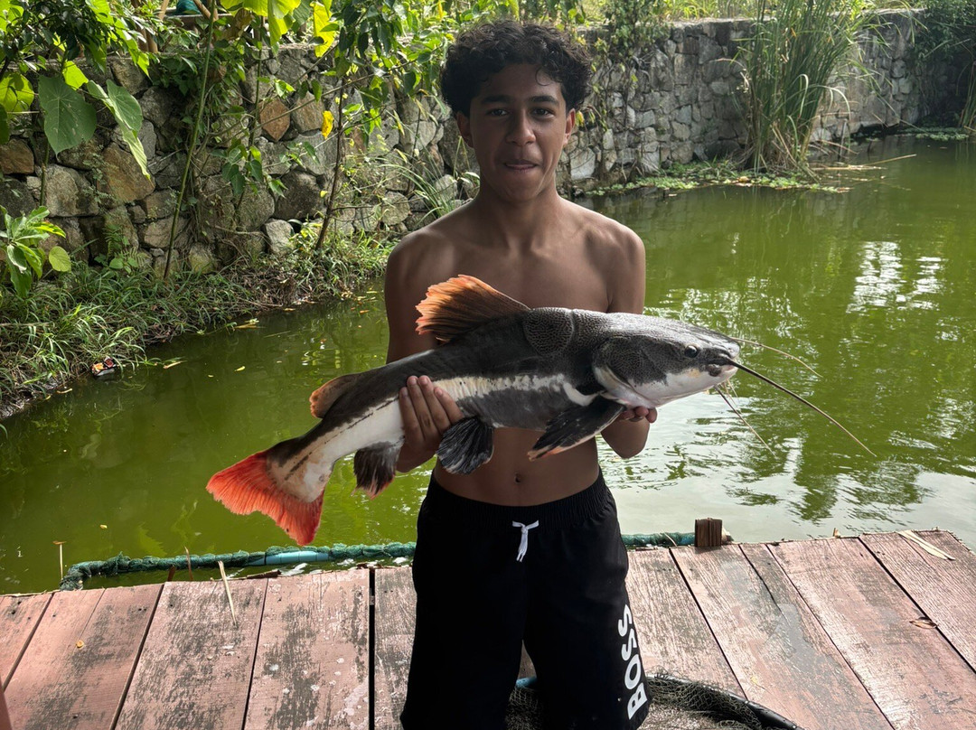 Phuket Monster Fishing Park-拉威必去景点