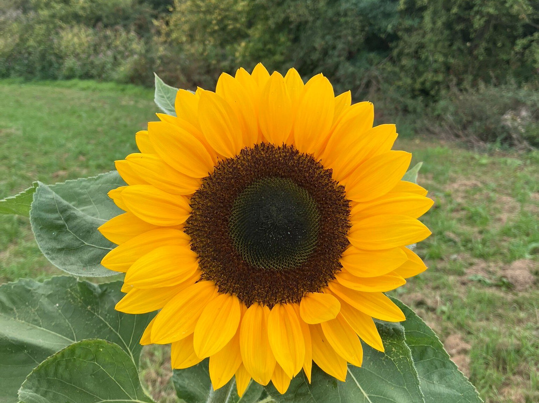 Mrs Dowsons农场-Clayton le Dale必去景点