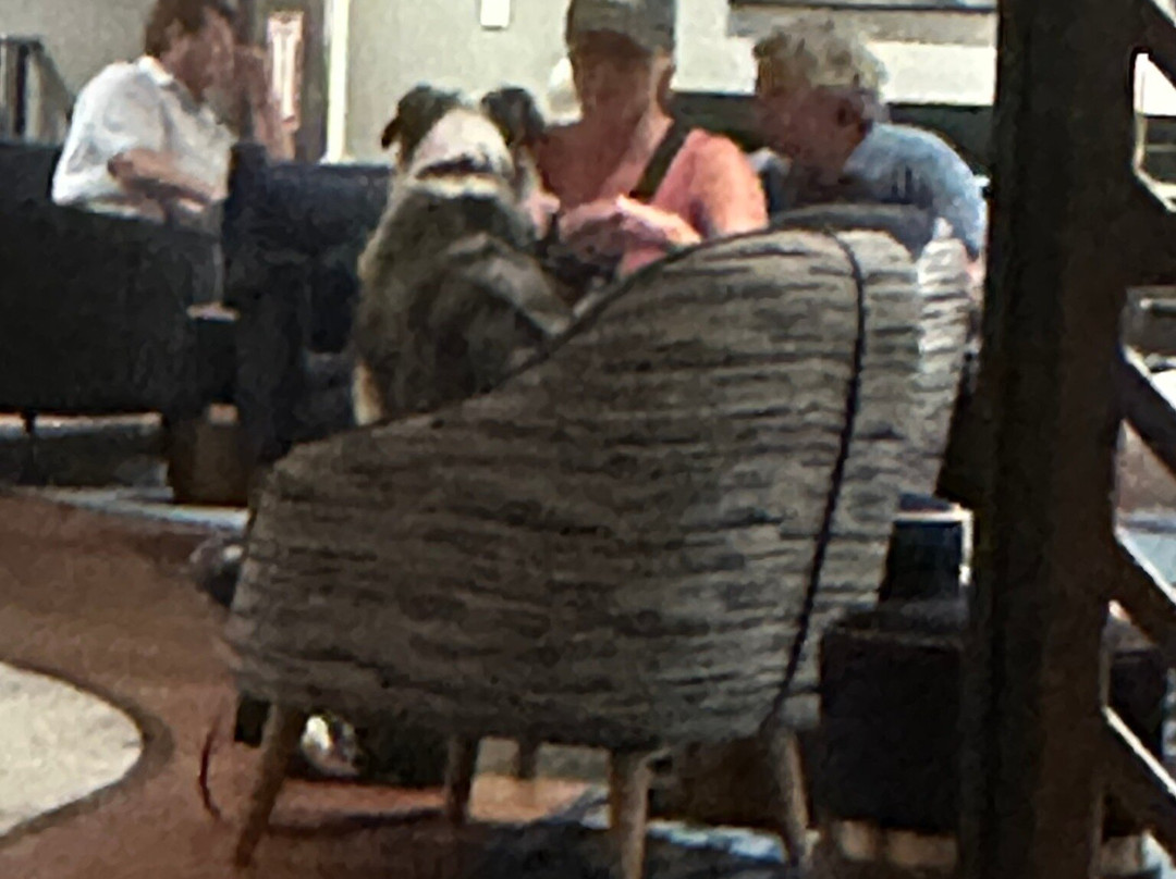 Le Méridien St. Louis Clayton主图