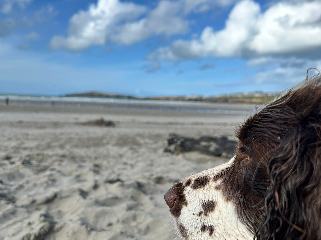 Poppit Sands Beach-Cardigan必去景点