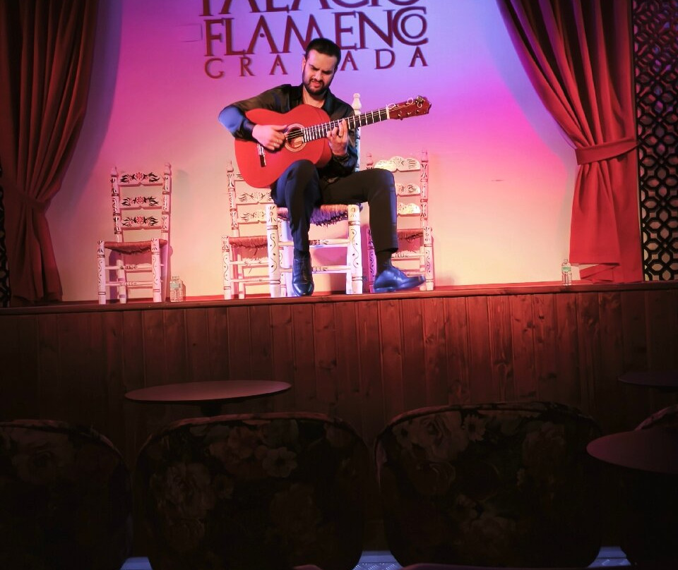 Palacio Flamenco-格拉纳达必去景点