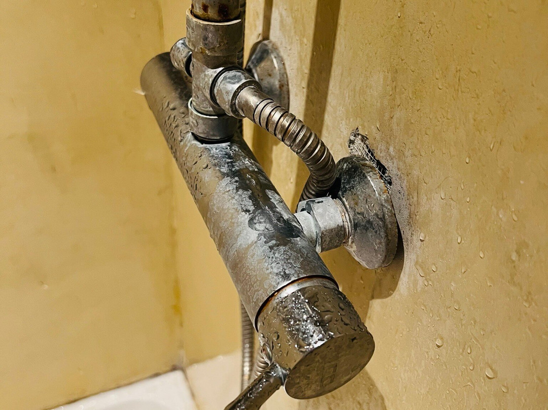 Big Bang Nature Stays主图