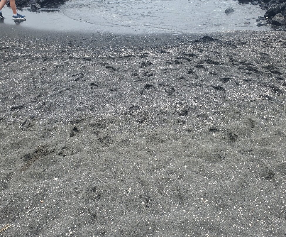 理查德森海滩公园-希洛必去景点