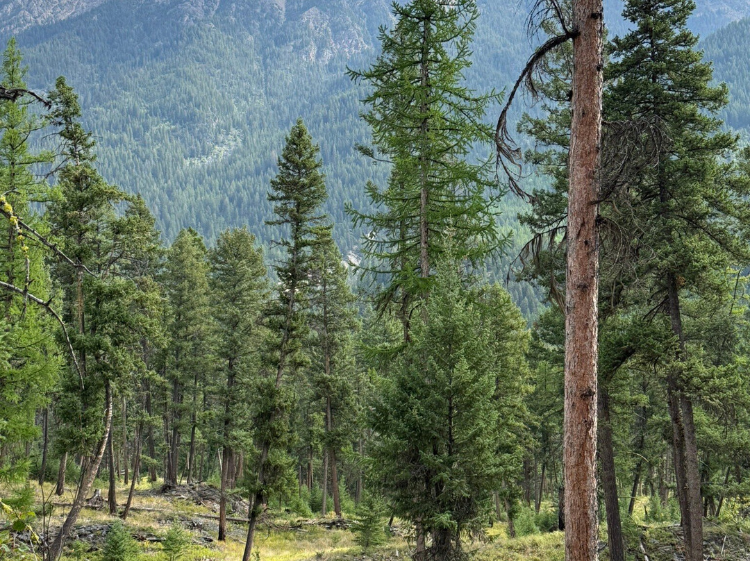 Premier Lake Provincial Park-Skookumchuck必去景点