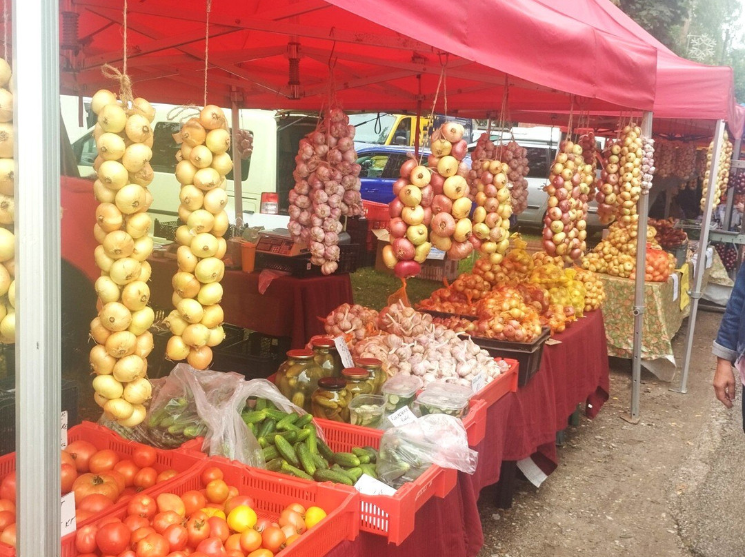 Kallaste Turu-Kallaste必去景点