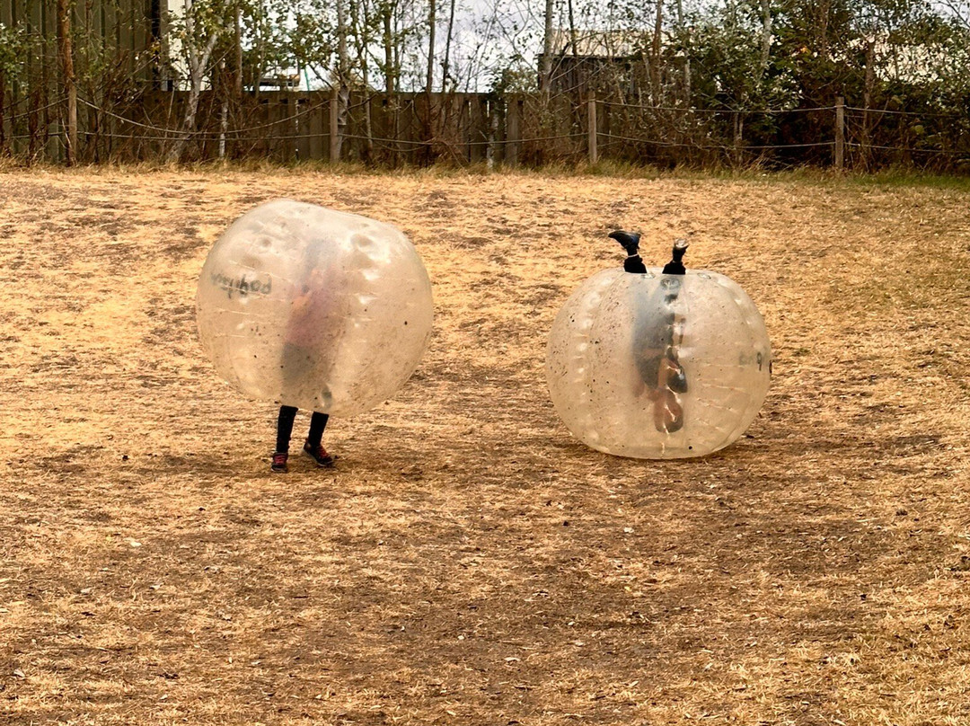 Puxton Park-Hewish必去景点