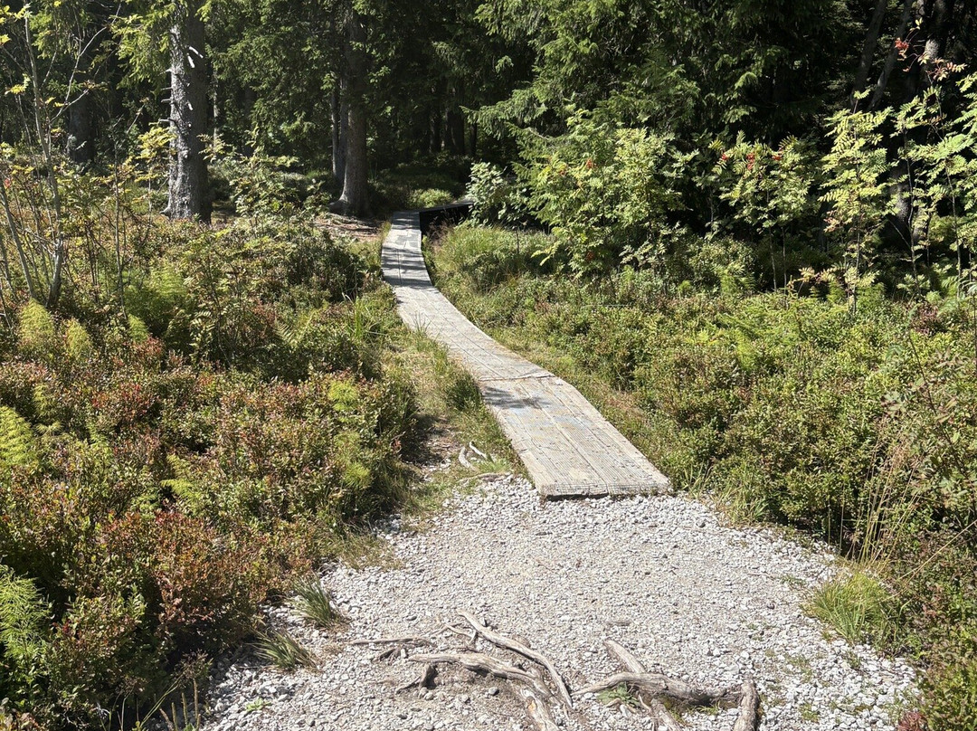 Naturpark Gantrisch-Schwarzenburg必去景点