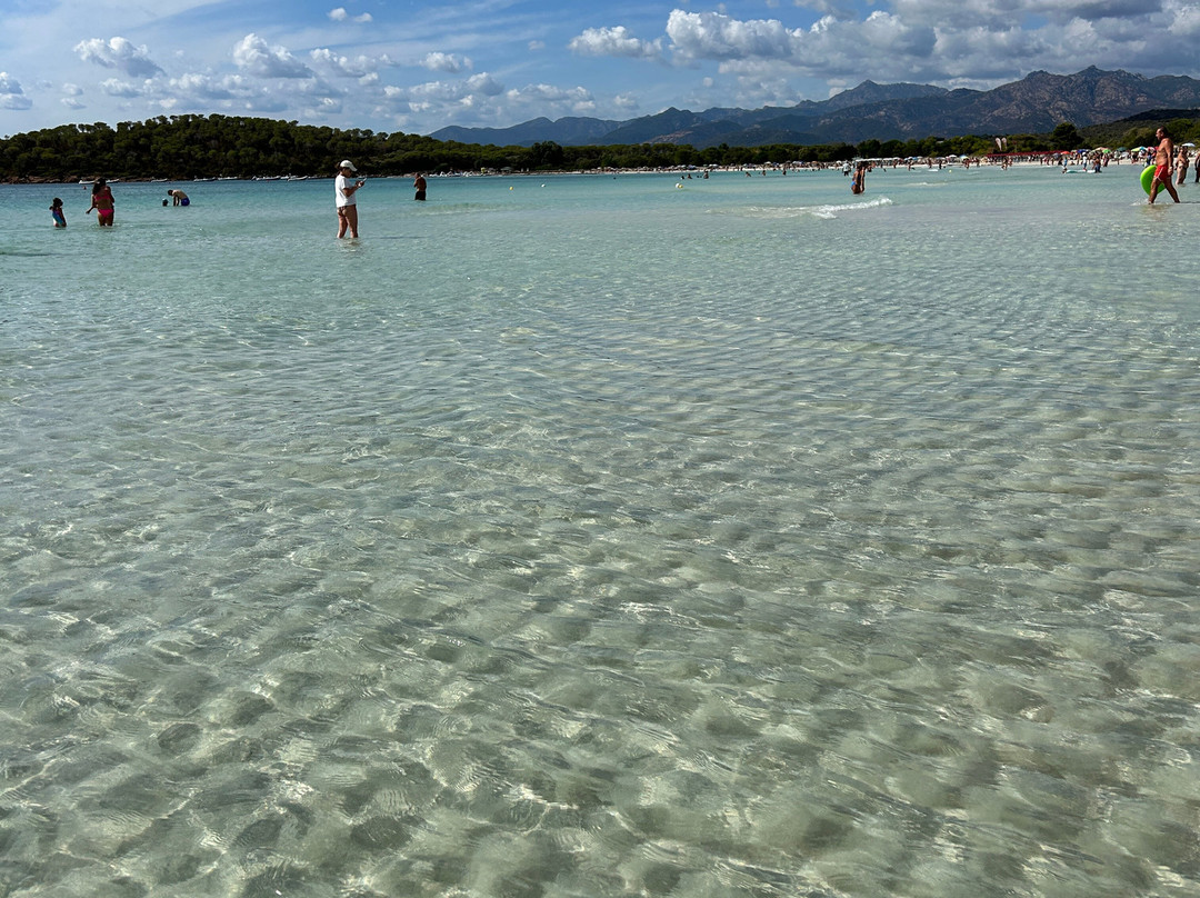 Cala Brandinchi-Capo Coda Cavallo必去景点
