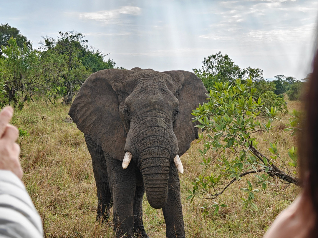Operation Kilimanjaro-Marangu必去景点