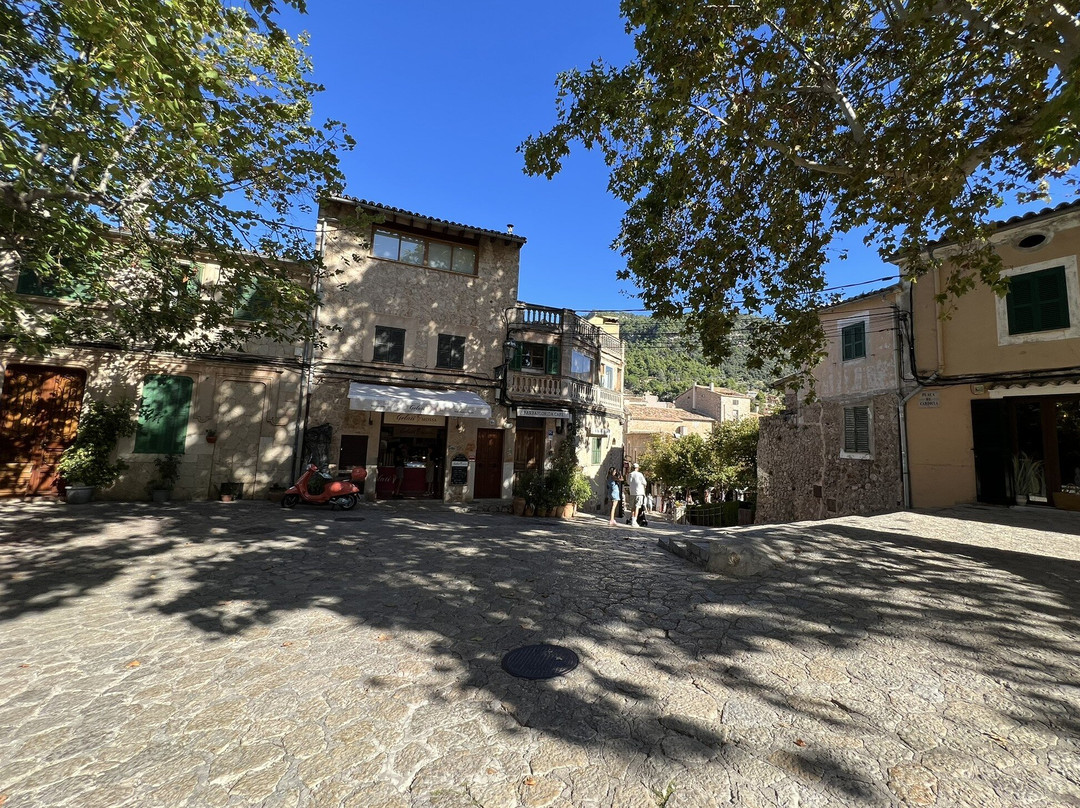 Plaça Cartoixa