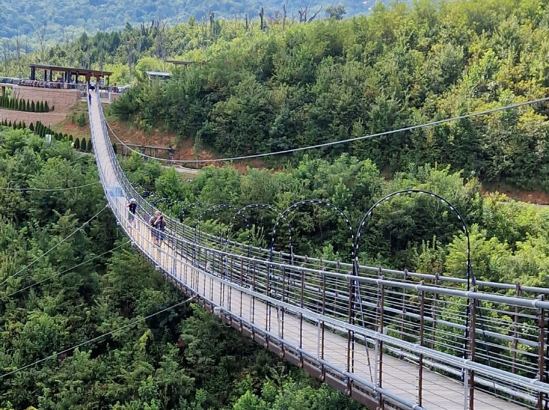 SkyBridge-盖林柏格必去景点