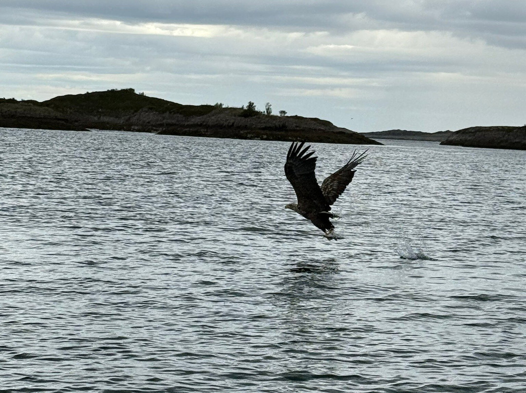 Go2Lofoten-斯沃尔韦尔必去景点
