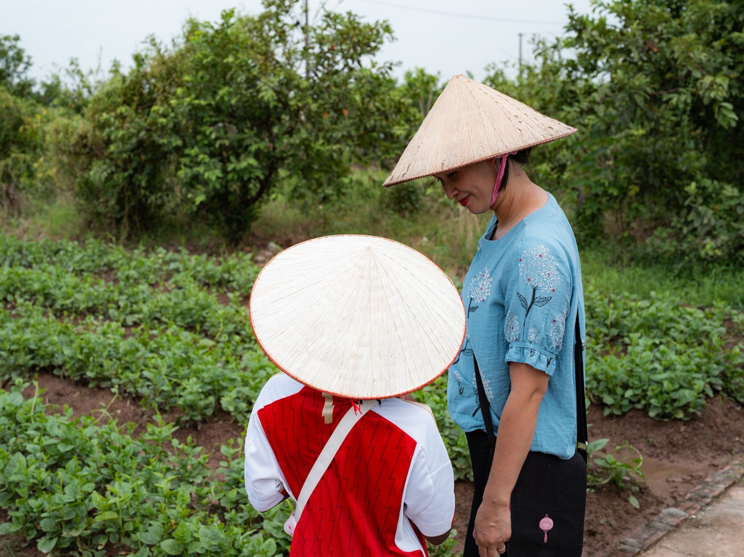 Manh's Farm Tour and Homestay Cooking Class in Hanoi-河内必去景点