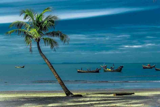 Lobelia Tours And Travel