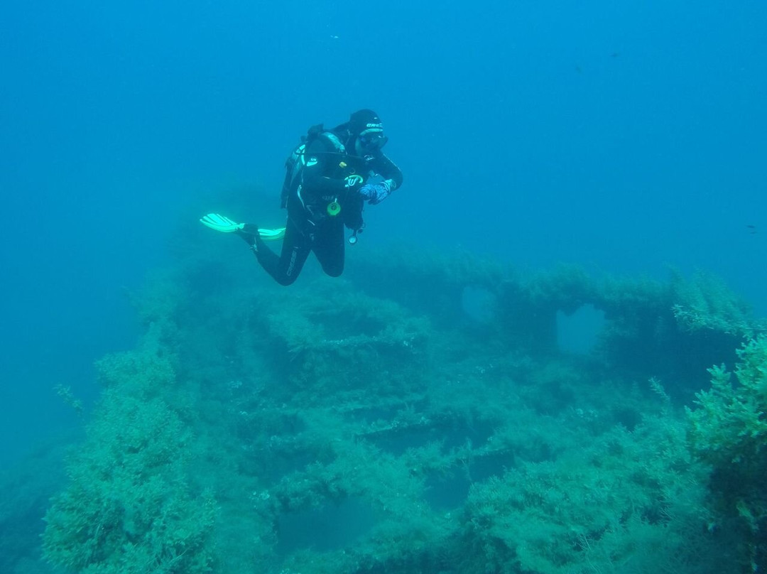 Seavery Diving Center-Kassandra必去景点