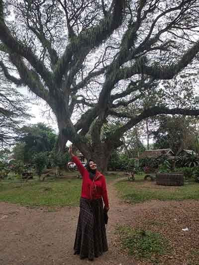 De Djawatan Forest-巴纽旺宣必去景点