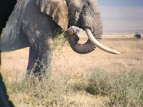 Africa Yetu Safaris-阿鲁沙必去景点