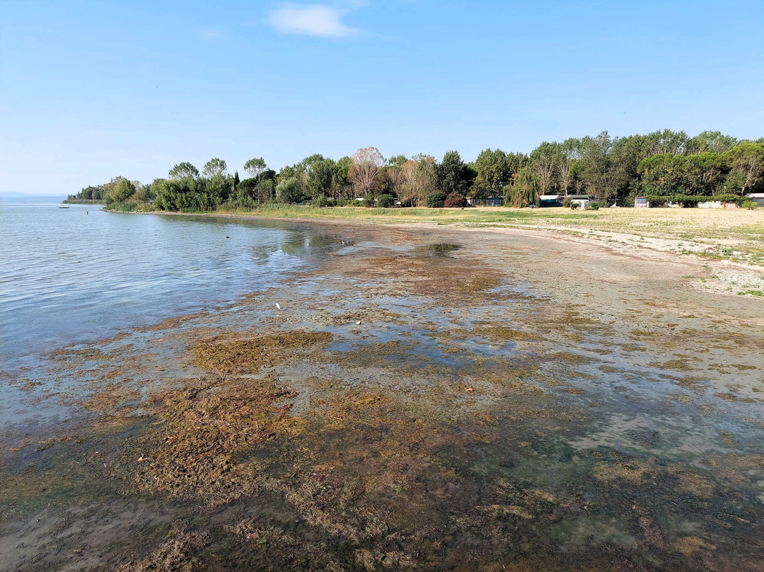 Spiaggia Tuoro Sul Trasimeno-Tuoro sul Trasimeno必去景点