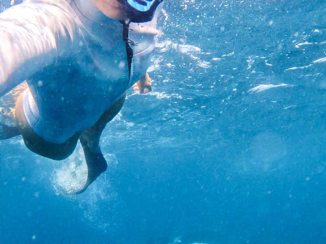 Dharavandhoo Divers-Dharavandhoo必去景点