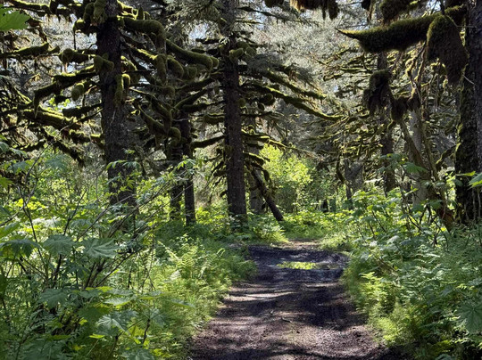Atv Seward-苏厄德必去景点