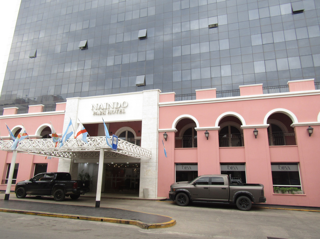 Naindo Park Hotel主图