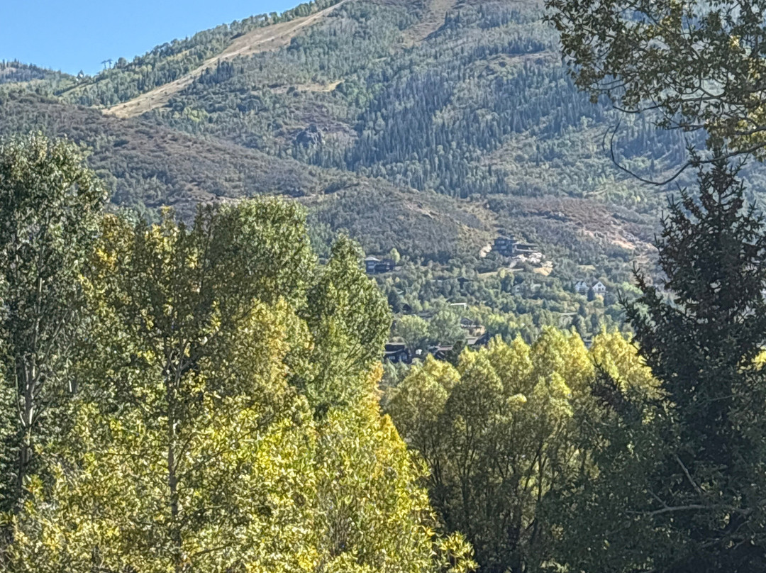 Holiday Inn 斯廷博特斯普林斯主图